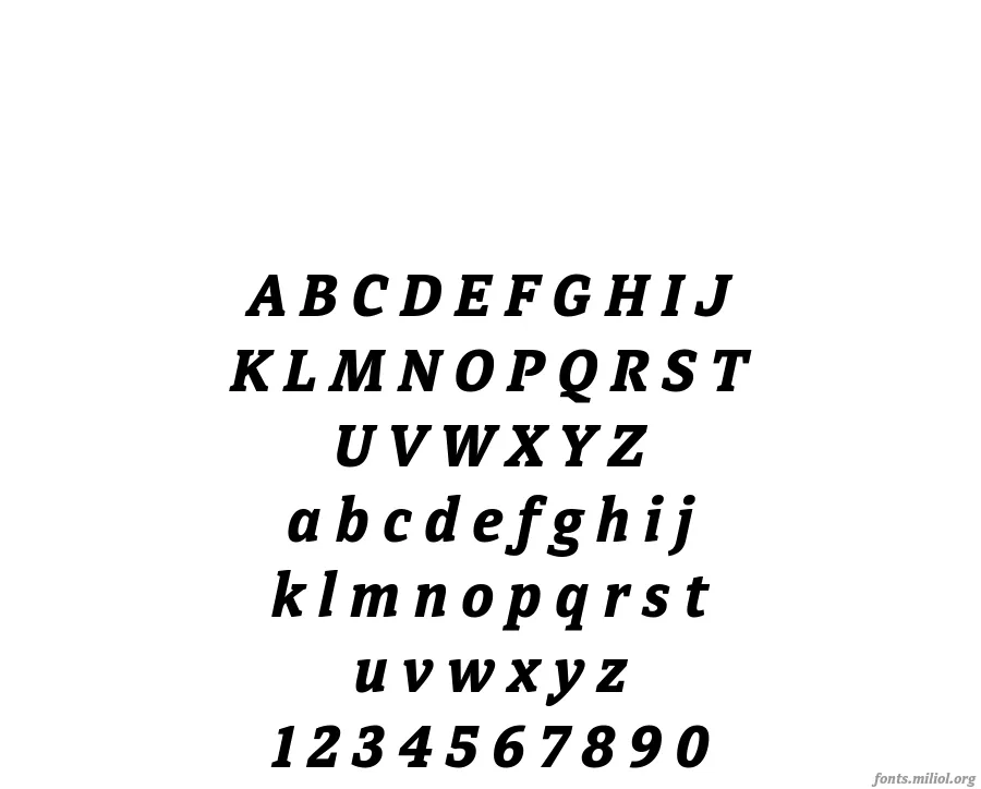 DirectaSerif-BoldItalic 字体映射图