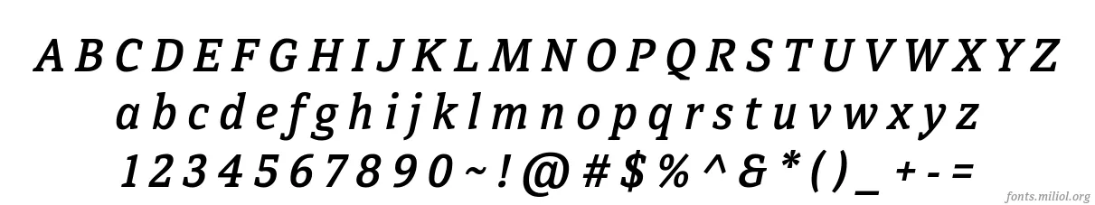 DirectaSerifMedium-Italic 字体映射图